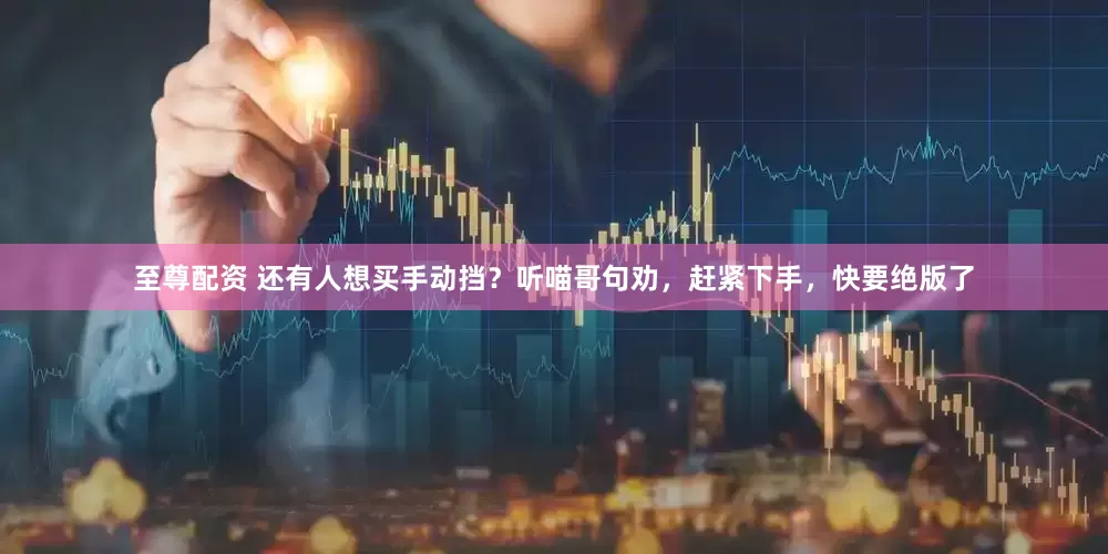 至尊配资 还有人想买手动挡？听喵哥句劝，赶紧下手，快要绝版了