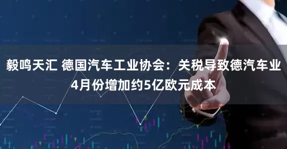 毅鸣天汇 德国汽车工业协会：关税导致德汽车业4月份增加约5亿欧元成本