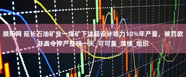 顺阳网 延长石油矿业一煤矿下达超设计能力10%年产量，被罚款并责令停产整顿一天_可可盖_演练_组织