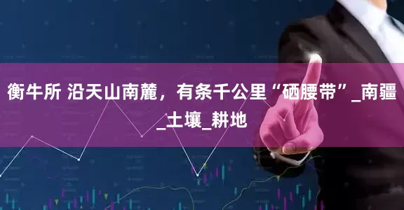 衡牛所 沿天山南麓，有条千公里“硒腰带”_南疆_土壤_耕地
