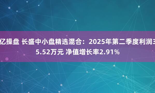 亿操盘 长盛中小盘精选混合：2025年第二季度利润35.52万元 净值增长率2.91%