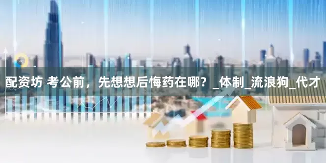 配资坊 考公前，先想想后悔药在哪？_体制_流浪狗_代才