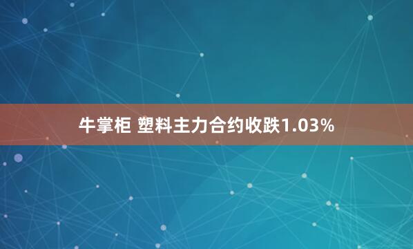 牛掌柜 塑料主力合约收跌1.03%